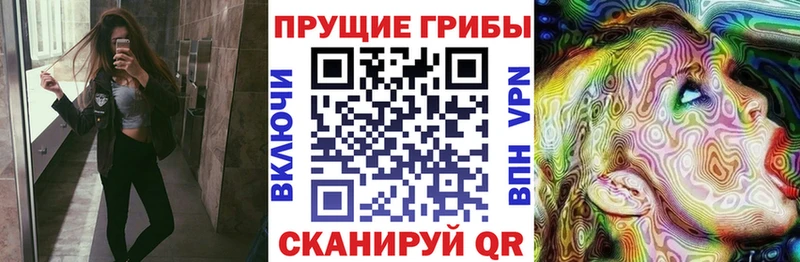 Псилоцибиновые грибы Psilocybine cubensis kraken зеркало Копейск купить наркотики сайты